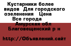 Кустарники более 100 видов. Для городского озеленения › Цена ­ 70 - Все города  »    . Амурская обл.,Благовещенский р-н